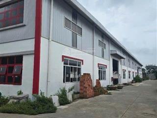 Cho thuê xưởng 1000mv, 2000mv, 5000mv, 10.000mv, 20.000mv