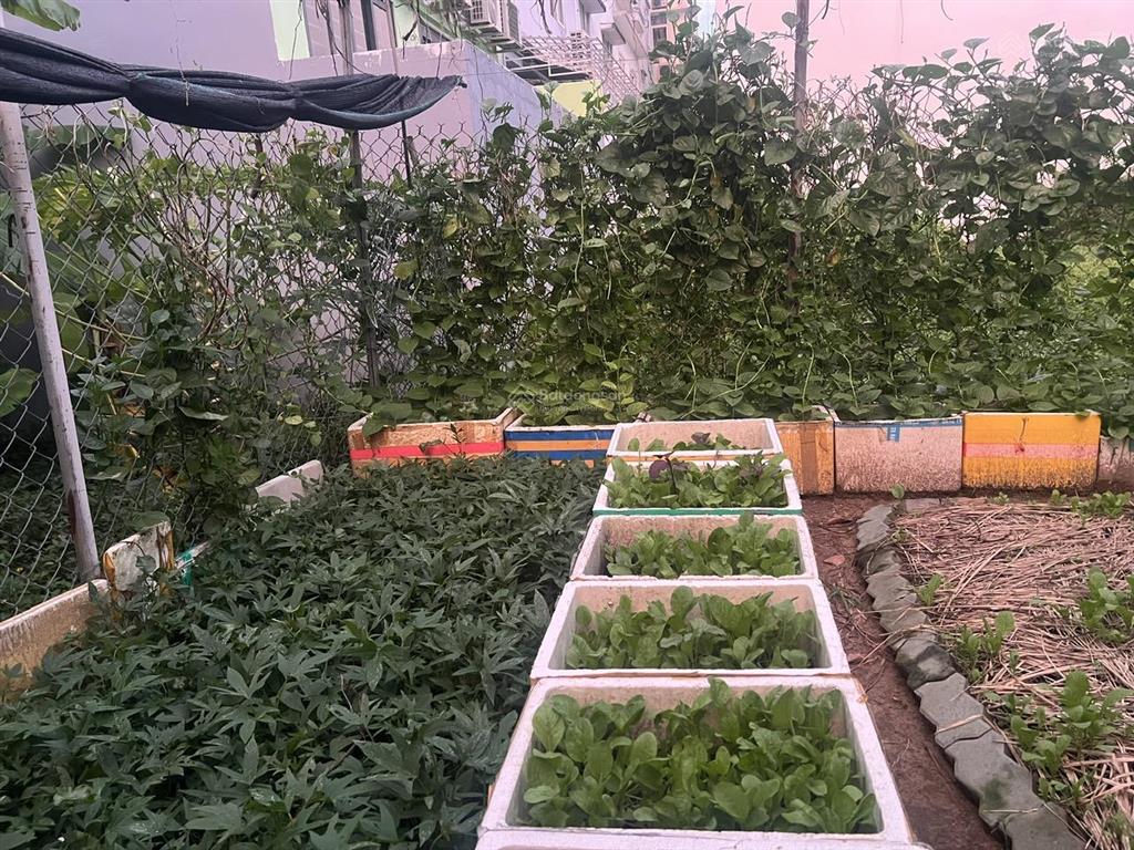 Bán căn hộ chung cư conic garden, 2pn1w giá 2.350 tỷ, có hỗ trợ vay nh   0979 695 ***