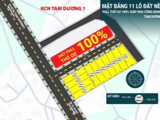 Ra hàng 11 lô ba bước chân tới khu công nghiệp tam dương đang quy hoạch, khẩn trương mua là thắng