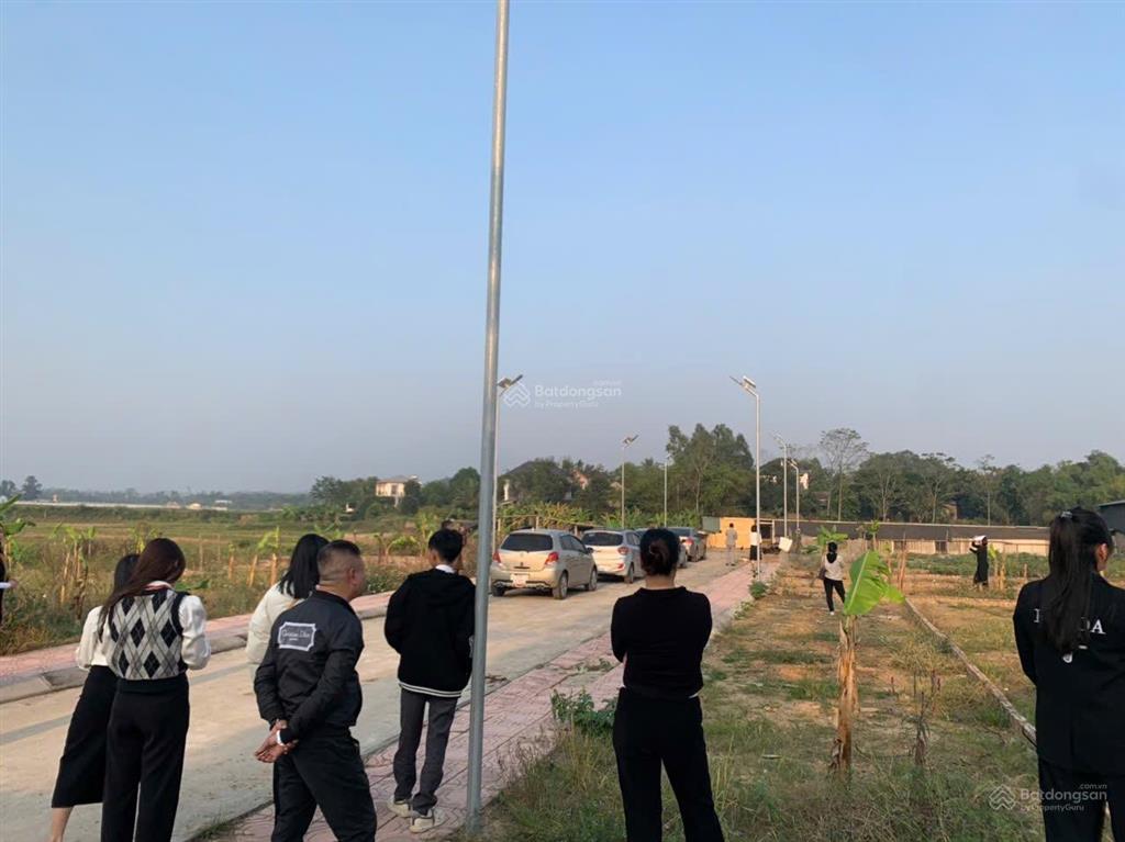 Ra hàng 11 lô ba bước chân tới khu công nghiệp tam dương đang quy hoạch, khẩn trương mua là thắng