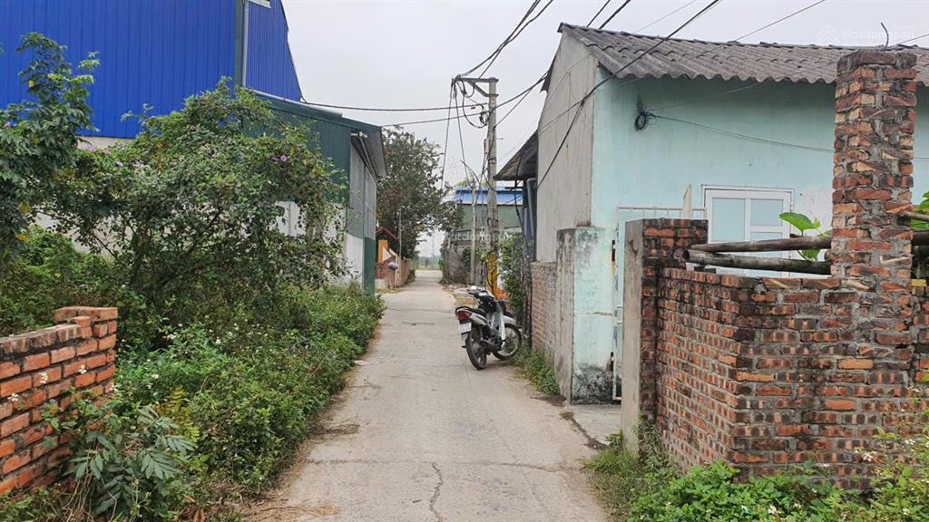 Cc bán đất nhanh đại bái mới gia bình bắc ninh