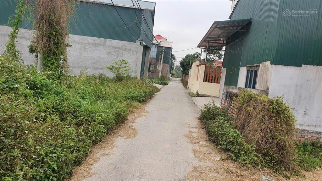 Cc bán đất nhanh đại bái mới gia bình bắc ninh