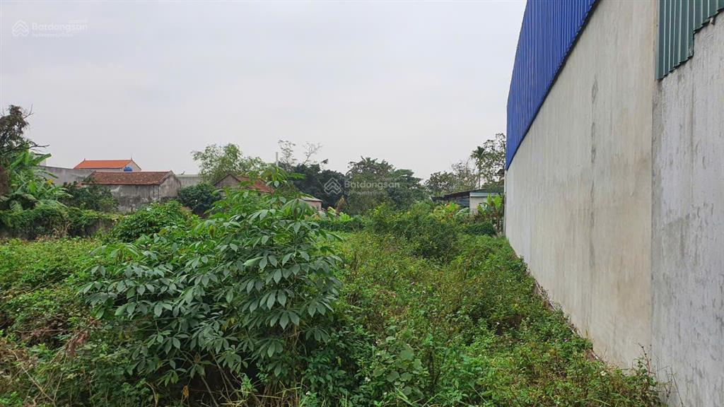 Cc bán đất nhanh đại bái mới gia bình bắc ninh