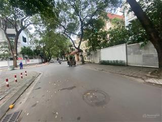 Chính chủ bán biệt thự song lập văn quán, hà đông, mặt tiền 10m. giá chỉ 230tr/m2 có ra lộc