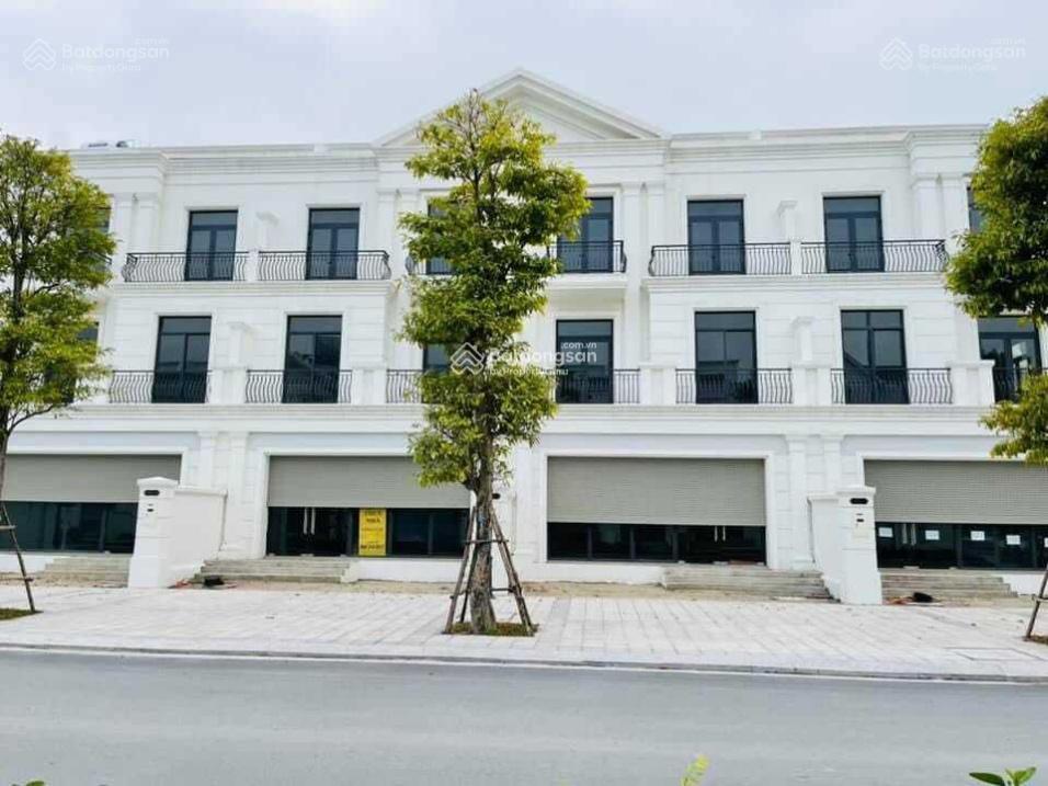 Bán căn liền kề 90m2  hải âu 02, giá tốt dự án vinhomes ocean park20,x tỷ bp
