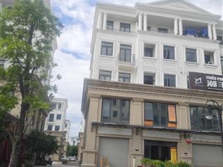 Bán gấp shophouse 2 mặt tiền 150m2 vinhomes ocean park gia lâm giá chỉ 12 tỷ, đang cho thuê