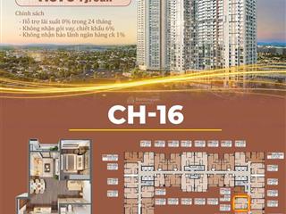 Quỹ căn đẹp tòa rose residence  hoàng huy commerce. chiết khấu thanh toán tiến độ 7%