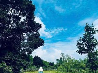 Lô đất 2 mặt đường , vị trí đẹp xung quanh nhiều vila và homstay hiện hữu