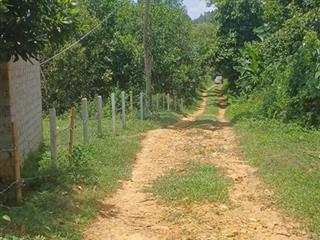 Một mô hình trang trại nghỉ dưỡng đỉnh cao ,trên thế đất thoải , suối quanh đất , có thổ cư