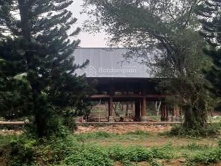 Một lô đất đẹp nhất sơn tây, giá chỉ vài triệu