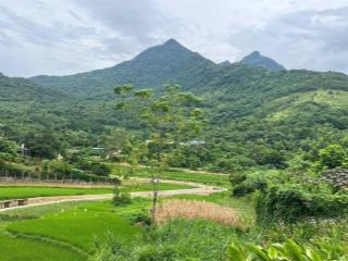 Đất thôn dy , minh quang , ba vì hay gọi là làng hà nội , đất đẹp , không khí trong lành ....