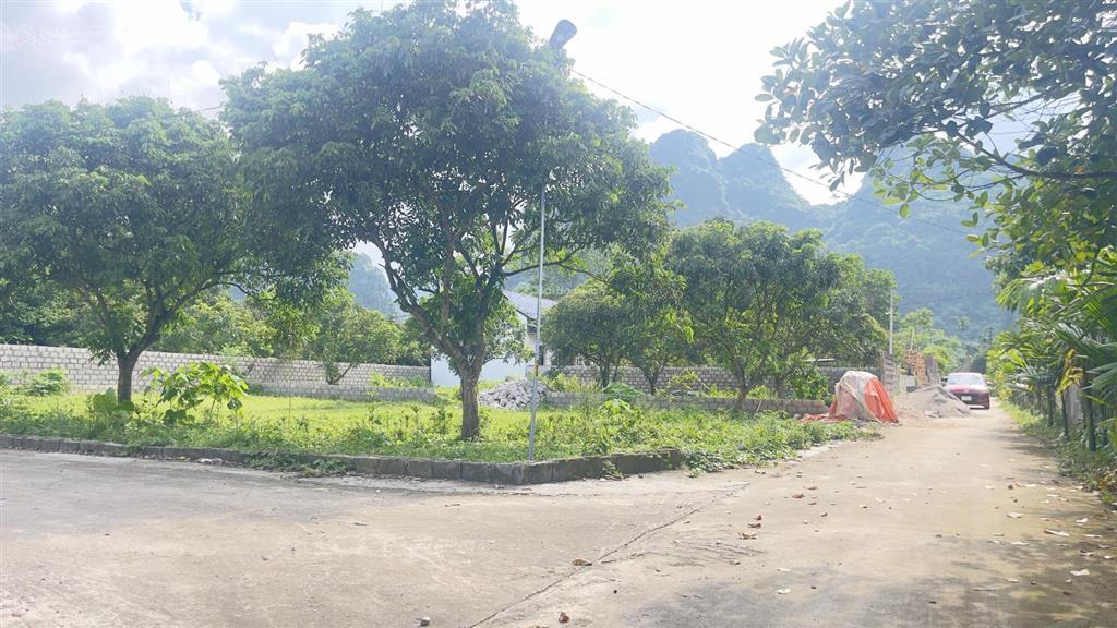 Em còn duy nhất 1 lô góc s= 181m2 ( có 110m2 ont ) .mặt tiền bằng hậu 10m giá nhỉnh 800tr