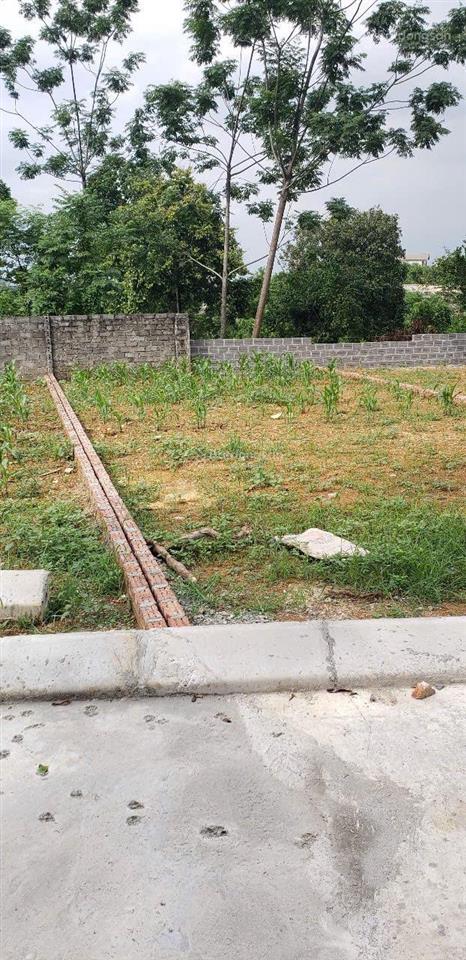 Đất đẹp đông yên cũ hàng hiếm, giá rẻ nhất khu vực! sở hữu ngay lô đất 117m2 full thổ