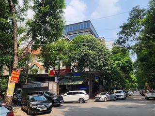 Siêu vip, biệt thư mỹ đình 2 bùi xuân phái hàm nghi. 200m2, 4 tầng, mặt tiền 10m. view thoáng.