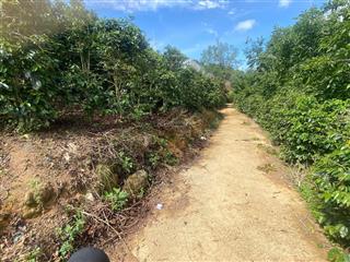 Cần bán 2.000m2 xuân trường đà lạt 2 tỷ 5 view săn mây đẹp nhất đà lạt gửi ae mg 2% ae ra giúp nhé