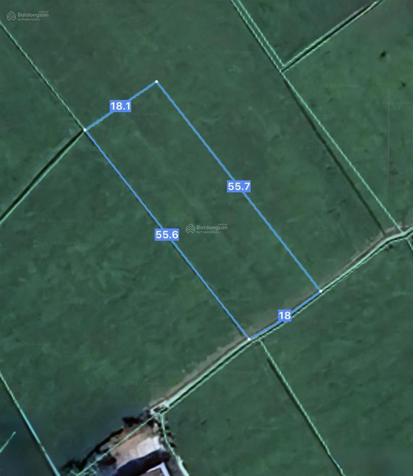 1000m2 490tr đường đan từ đường 833 vào 200m