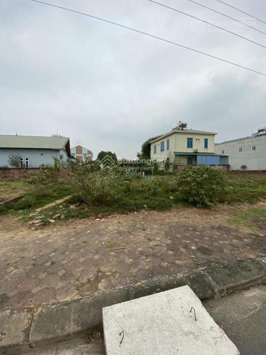 Gia đình bán nhanh 300m2 đất full thổ cư mặt tỉnh quốc lộ 88 hướng về suối 2.