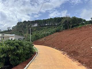 Bán lô đất view đồi thông siêu thoáng, cách trung tâm đà lạt chỉ 20km