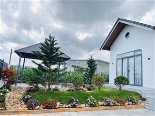 Nhà nghỉ dưỡng sân vườn gia lâm, lâm hà, lâm đồng  view màu xanh của đồi thông