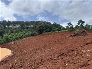 Mê linh  cách đà lạt chỉ 20km
view đồi thông bao quanh giá chỉ 790 triệu