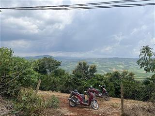 Bán vườn sầu riêng view săn mây giá chỉ 760 triệu, diện tích lên tới 1000m2