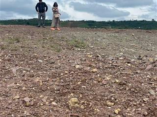 Đất đẹp tân hà lâm hà, giá chỉ 630 triệu sở hữu ngay 1.000m đất, trong đó 100m thổ cư