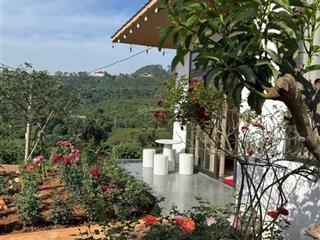 Bán nhà view thông view thung lũng cực đẹp gần đà lạt căn nhà nhỏ xinh giữa thiên nhiên