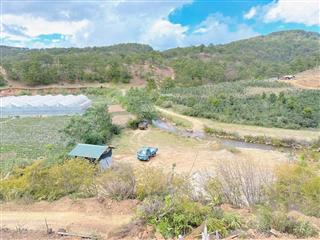 Chính chủ gửi bán lô đất lạc dương ( khu liên minh) phường langpiang đà lạt