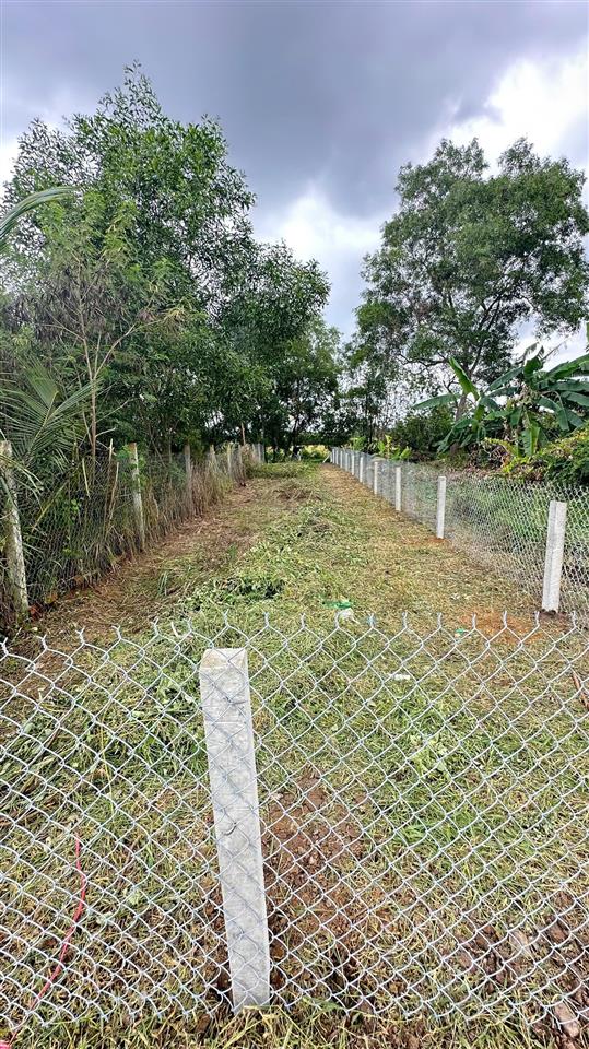 Bán đất thổ cư xã phước tuy cần đước  long an cũ giá 750 triệu