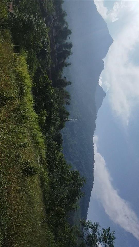 Mảnh đất rất đẹp, có đủ các tiêu chí mặt tiền 120m, đất ở 1400 m2, không thiếu một tiện ích gì