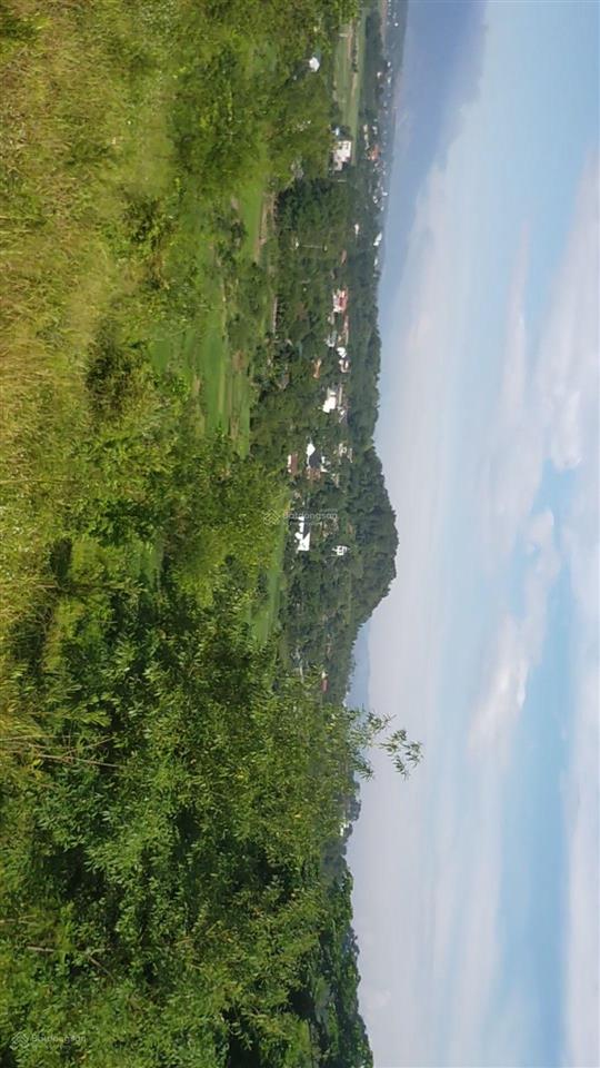 Mảnh đất rất đẹp, có đủ các tiêu chí mặt tiền 120m, đất ở 1400 m2, không thiếu một tiện ích gì