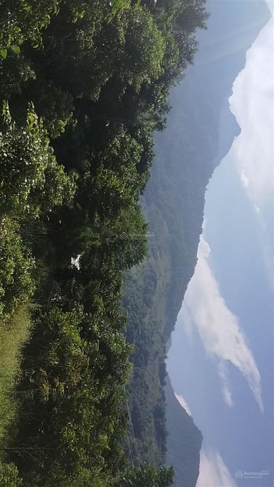 Mảnh đất rất đẹp, có đủ các tiêu chí mặt tiền 120m, đất ở 1400 m2, không thiếu một tiện ích gì