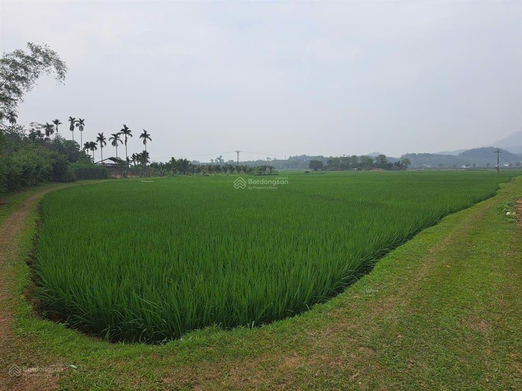 Đất nghỉ dưỡng ở trung tâm xã minh quang với đầy đủ tiện ích