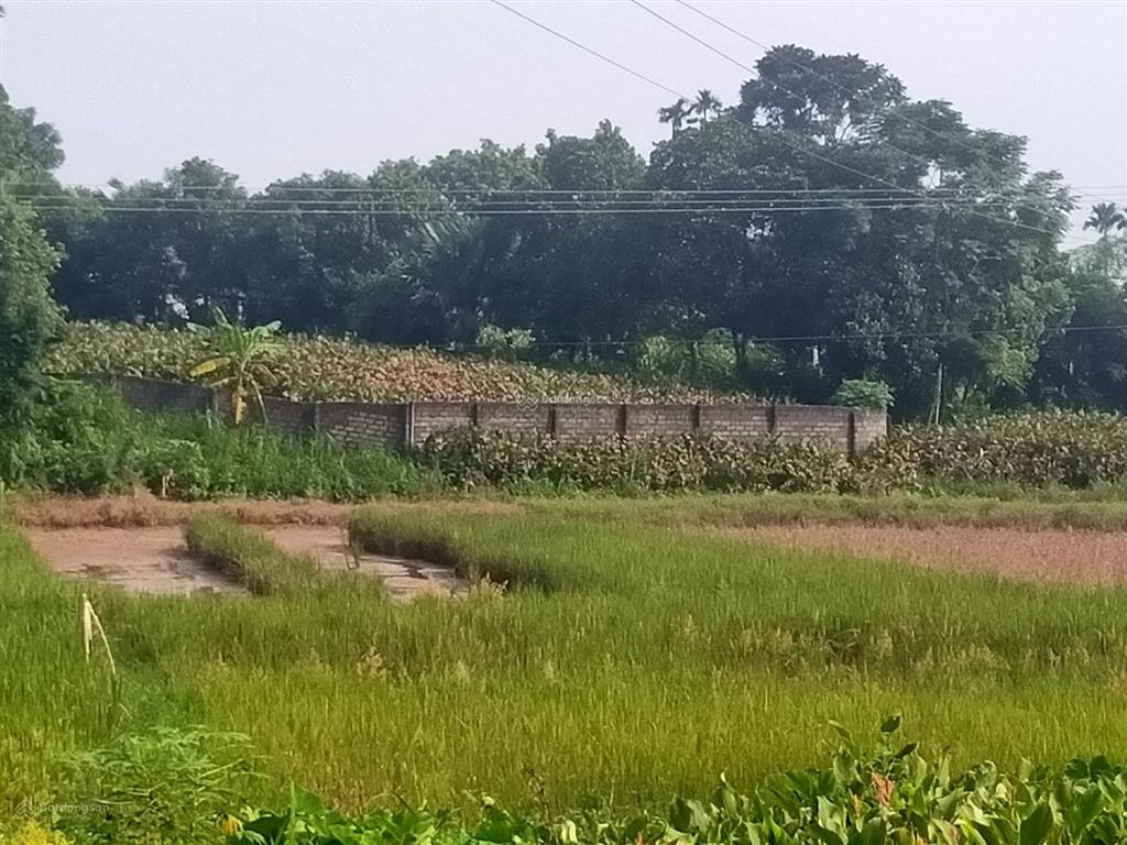 Đất nghỉ dưỡng ở trung tâm xã minh quang với đầy đủ tiện ích