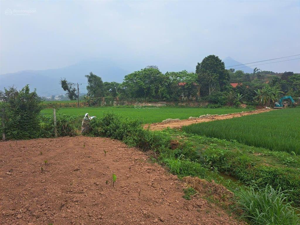 Đất nghỉ dưỡng ở trung tâm xã minh quang với đầy đủ tiện ích