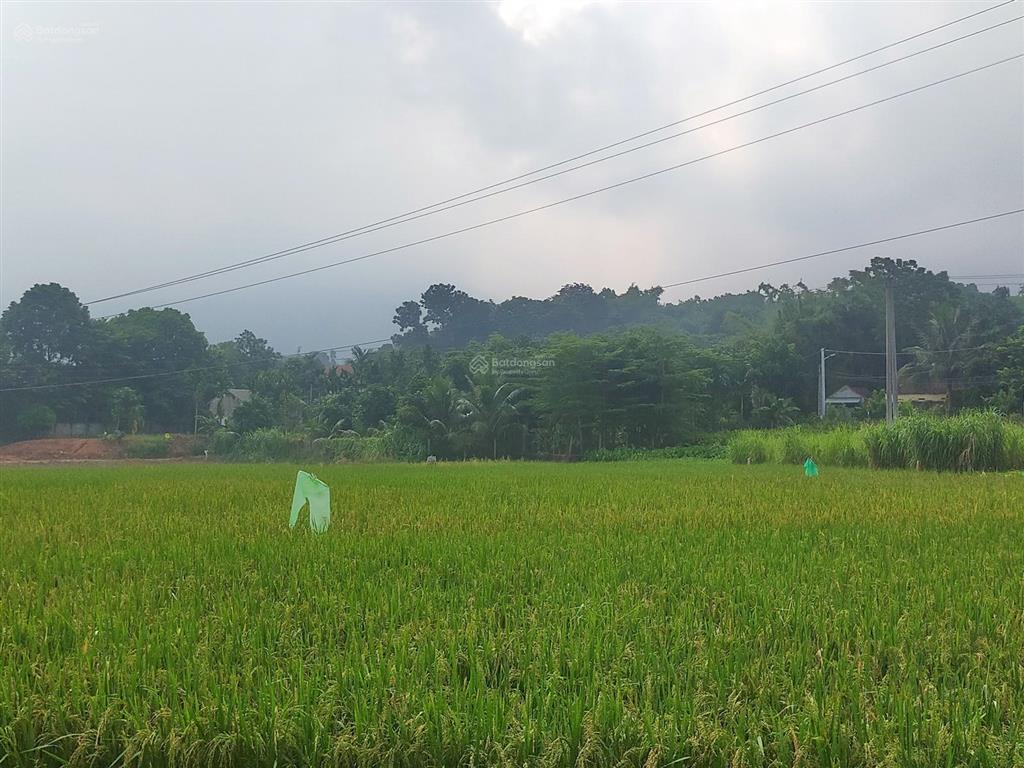 Đất nghỉ dưỡng ở trung tâm xã minh quang với đầy đủ tiện ích