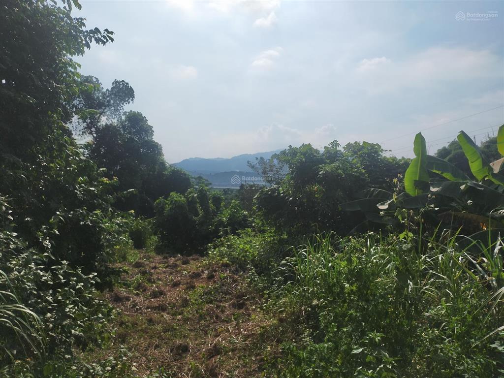 Bán đất tại minh quang, ba vì, hà nội, 7,5 tỷ, 2800 m2, giá ưu đãi