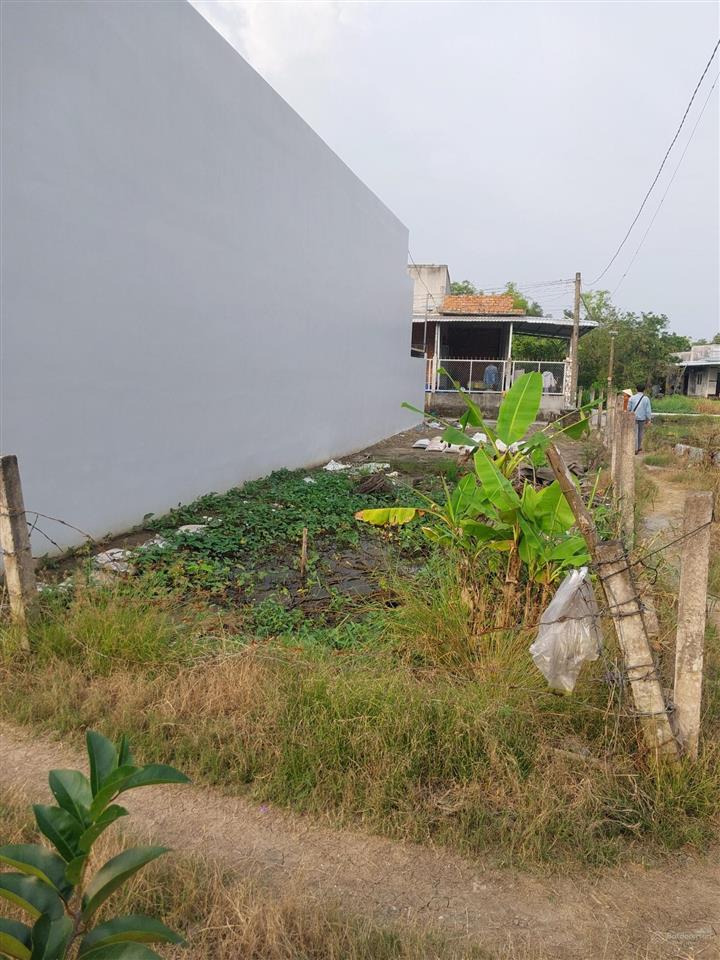 Bán đất lô góc 137m2 full đất ở, sổ riêng  công đồng lộc trung, mỹ lộc, cần giuộc