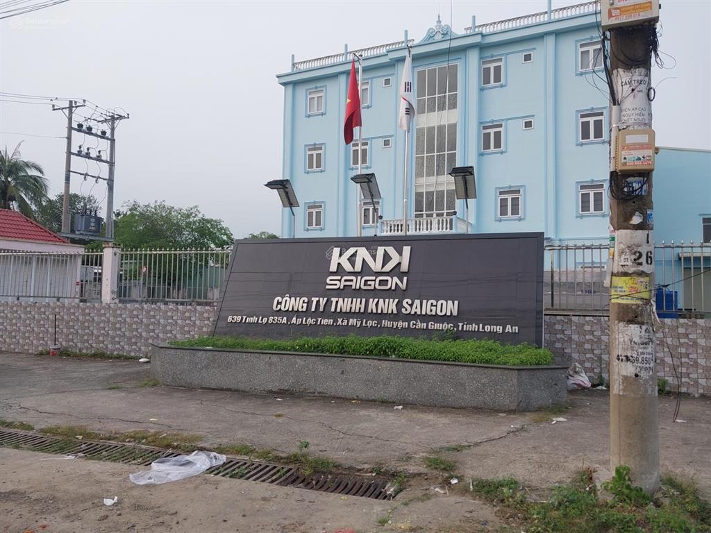 Bán đất lô góc 137m2 full đất ở, sổ riêng  công đồng lộc trung, mỹ lộc, cần giuộc