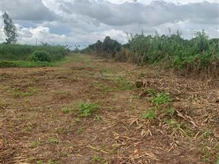 Chính chủ bán gấp lô đất 2100m2 mỹ trà, tp cao lãnh, đồng tháp giá chỉ 1ty9
