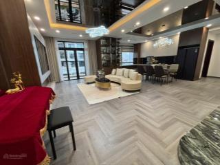 Tổng căn hộ royal city giá hợp lý 3pn đập thông, duplex, tháng 01/2026