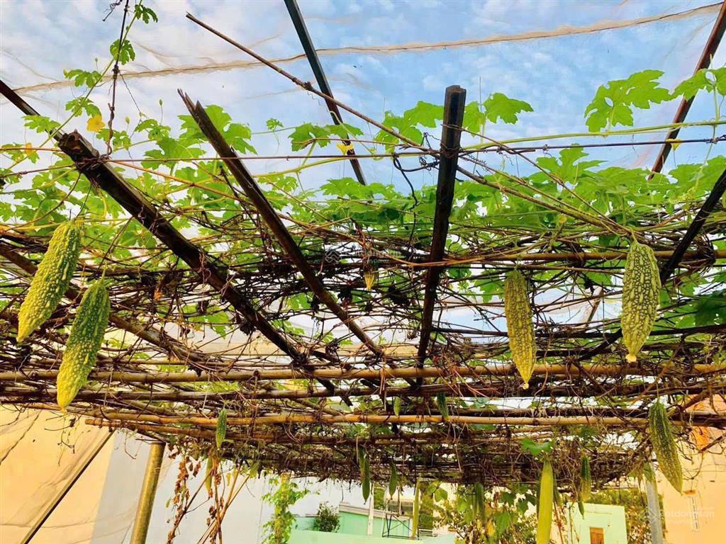 Bán nhanh trước tết nhà cấp 4 sát mặt tiền khu công viên phần mềm quang trung