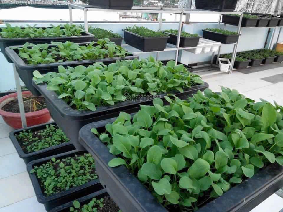 Bán nhanh trước tết nhà cấp 4 sát mặt tiền khu công viên phần mềm quang trung