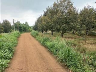 Bán nhanh lô đất hơn 5,5ha mặt tiền đường bê tông rộng rãi, giá chỉ 15,9 tỷ