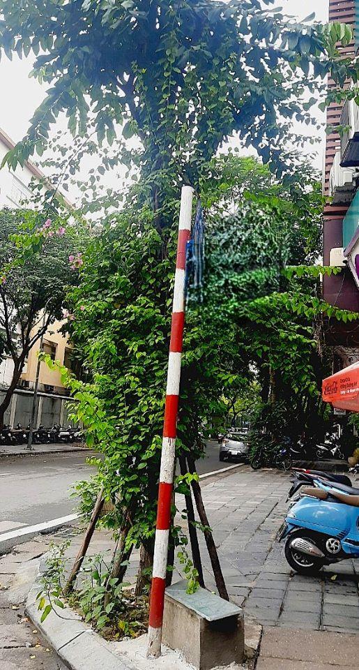 BÁN GẤP NHÀ MẶT PHỐ KHU HAI BA TRƯNG - 6TẦNG THANG MÁY 72M2 MỚI TINH - CHỈ 65 TỶ TL