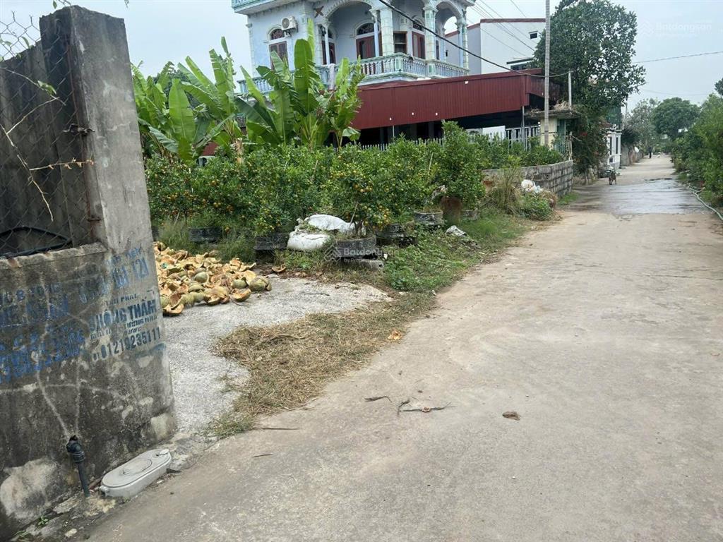 Cần bán lô góc view hồ siêu đẹp tại liên nghĩa văn giang, diện tích 114m2 gần vành đai 4! giá tốt