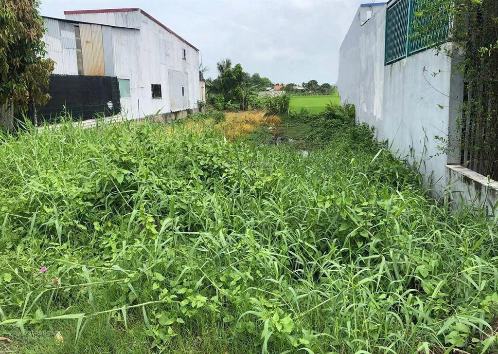 Mặt tiền nhựa 8m, gần đường tỉnh 816  cách khu du lịch happyland chỉ 1,5km. (không mồ mả, ko qh)