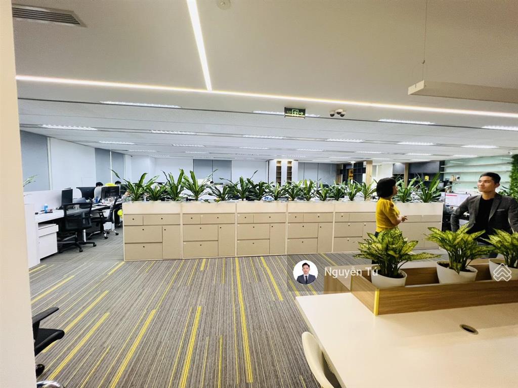 Bql cho thuê văn phòng thai nam building  dương đình nghệ. dt 1300m2 cắt lẻ từ 200m2