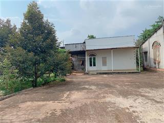 Bán khoảng 9 sào (9056m2) đất bàu chinh, huyện châu đức, brvt. giá 10 tỷ