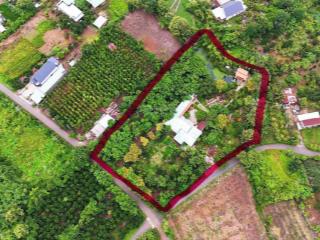 Bán khoảng 6 sào 1 (6115m2) đất đá bạc, huyện châu đức, brvt. giá 12 tỷ.